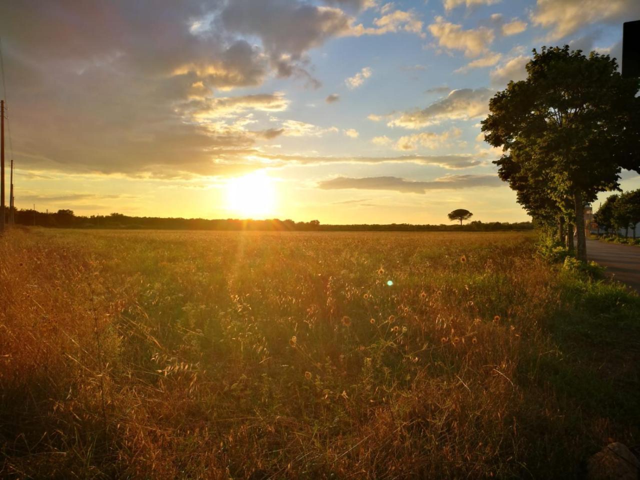 Cocumola Li Pusciai Bed & Breakfast エクステリア 写真